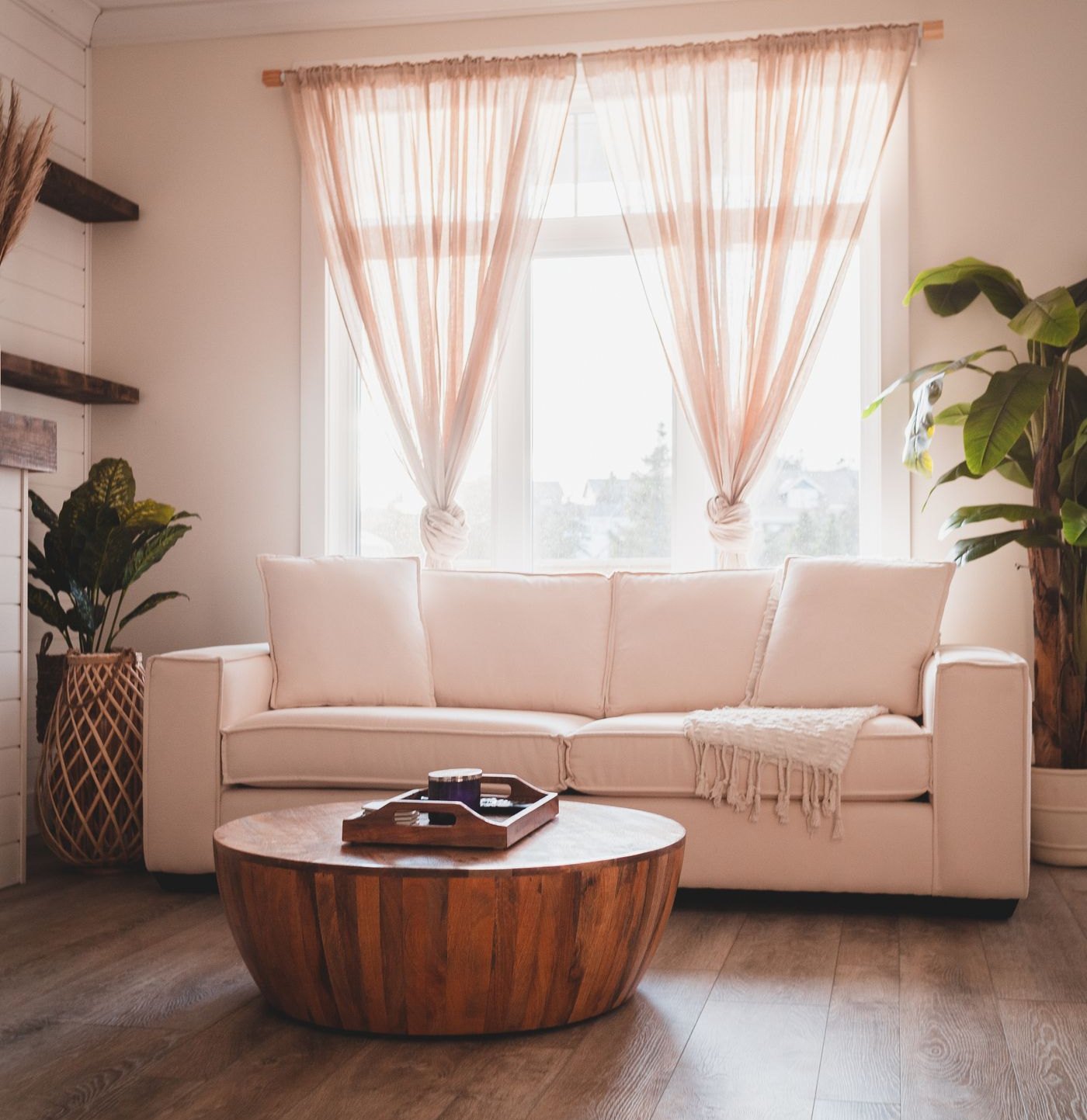 Illustrative stock photo of a bright living room with a sofa and plants